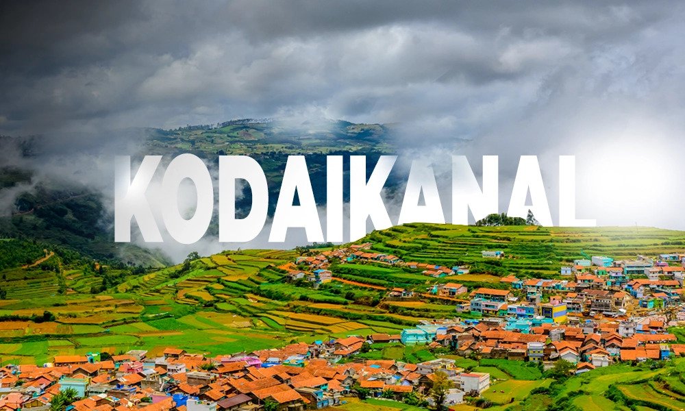 Trusted Best Travel Agency in Kodaikanal | Peter Holidays Queen Tours and Travels thumbnail