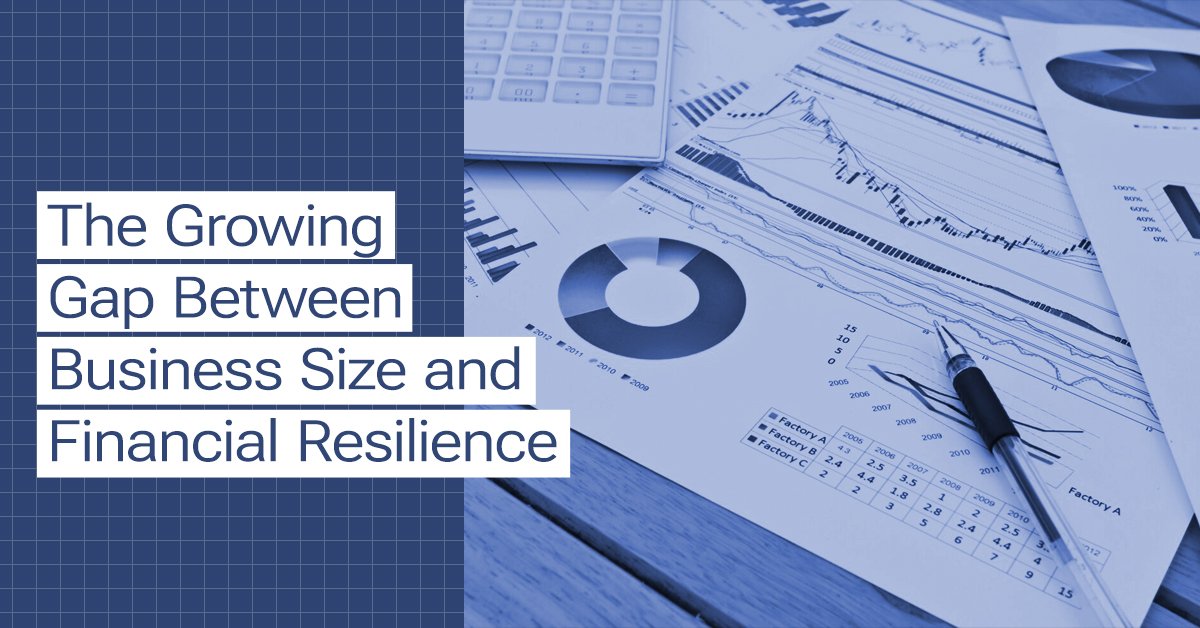 The Growing Gap Between Business Size and Financial Resilience