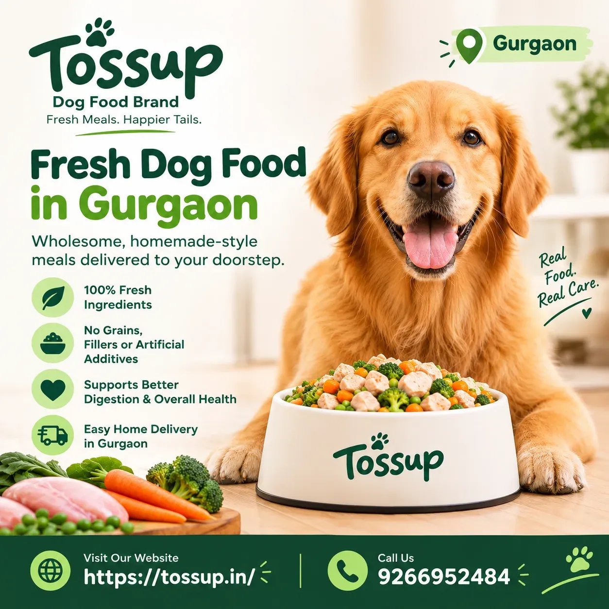 Fresh Dog Food in Gurgaon – Healthy Meals by Tossup