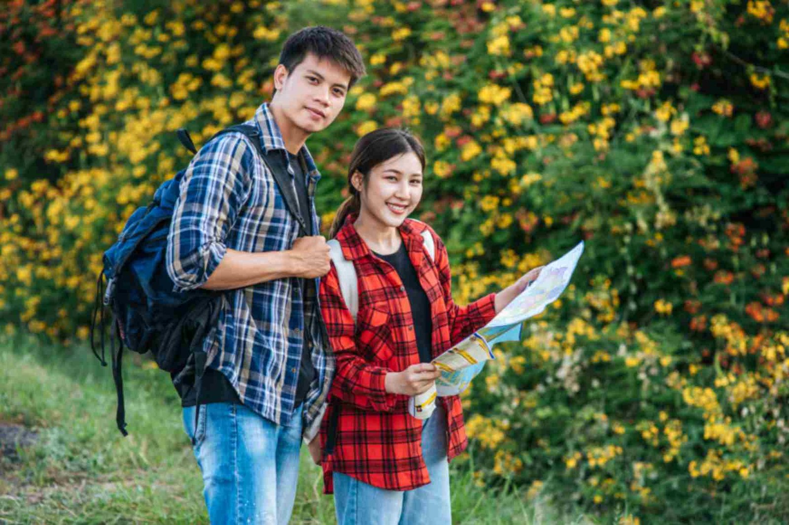 Medical Education in India: Understanding MBBS, Specializations and Career Paths