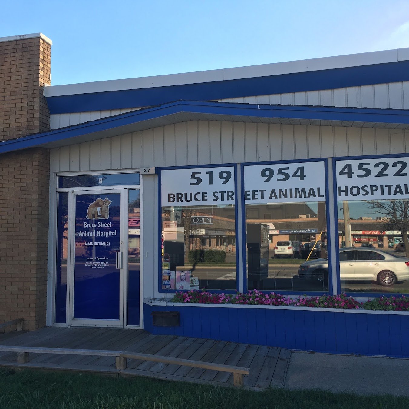 Animal Hospital Kitchener: A Complete Guide to Veterinary Care for Dogs and Cats